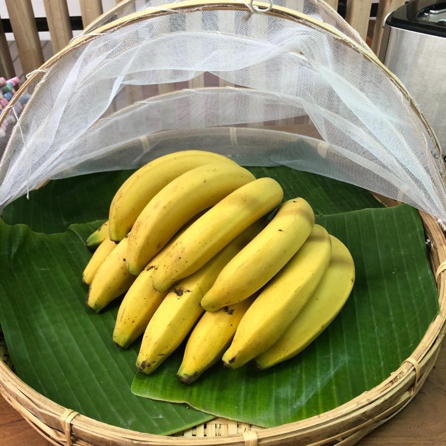 Sylvis Hostel Chiangmai チエンマイ エクステリア 写真